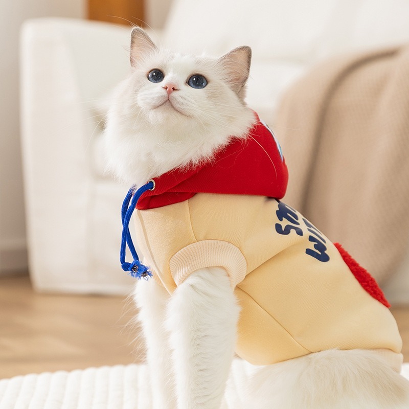 Gato hoodie inverno sherpa vel - Sherpa Hoodie Fleece avaliação e preço